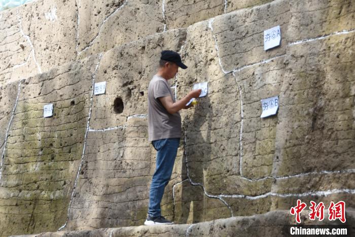 圖為工作人員正在對遺址考古區(qū)域進行編號?！⊥跤?攝