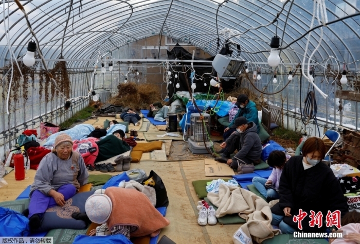 當(dāng)?shù)貢r(shí)間1月2日，日本石川縣輪島市，地震發(fā)生后，民眾在改建為疏散中心的溫室?guī)づ駜?nèi)休息。據(jù)日本共同社消息，當(dāng)?shù)貢r(shí)間1月2日晚，日本石川縣政府發(fā)布消息稱，截至目前，1月1日發(fā)生的能登半島7.6級強(qiáng)震已致55人死亡。地震造成部分房屋倒塌、地面下沉。另據(jù)日本廣播協(xié)會(NHK)報(bào)道，震中附近地區(qū)受災(zāi)情況嚴(yán)重，石川縣和富山縣等地已有超3萬人避難。