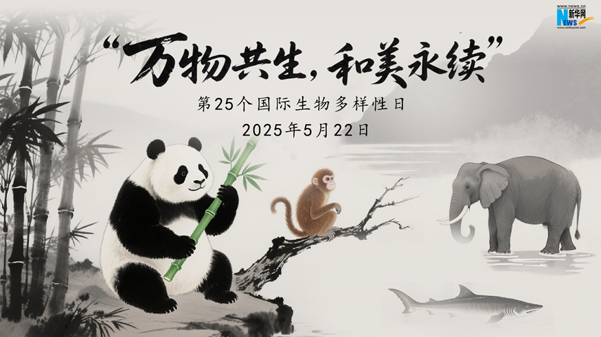 國際生物多樣性日   公益AI視頻：萬物和美