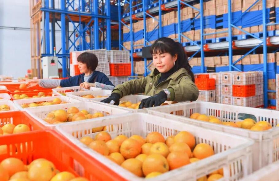 脱贫地区农副产品网络销售平台 累计交易额突破400亿元