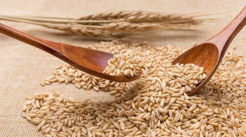 适合糖友的6种食物 适量食用能帮助稳血糖