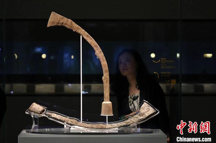 上海博物館“實(shí)證中國(guó)：崧澤·良渚文明考古特展”?！埡鄠?攝