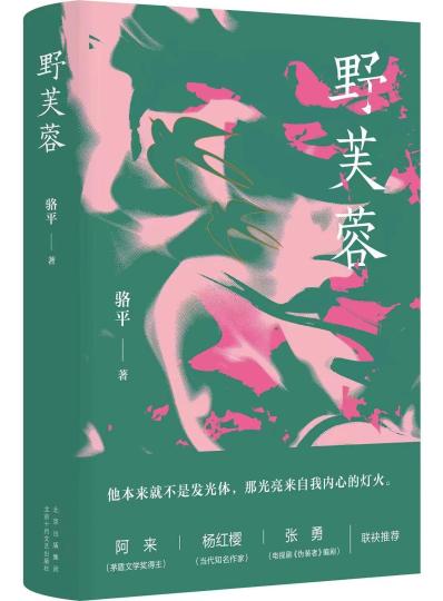 長(zhǎng)篇小說(shuō)《野芙蓉》：70后的心靈回溯