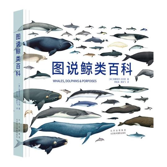 《圖說(shuō)鯨類百科》：遨游壯麗的鯨魚世界