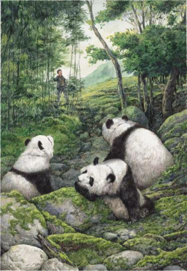著名作家葉廣芩長(zhǎng)篇兒童文學(xué)新作《熊貓小四》 出版方供圖