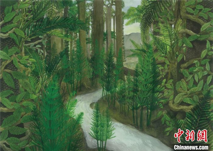 書中的手繪插圖 受訪者供圖