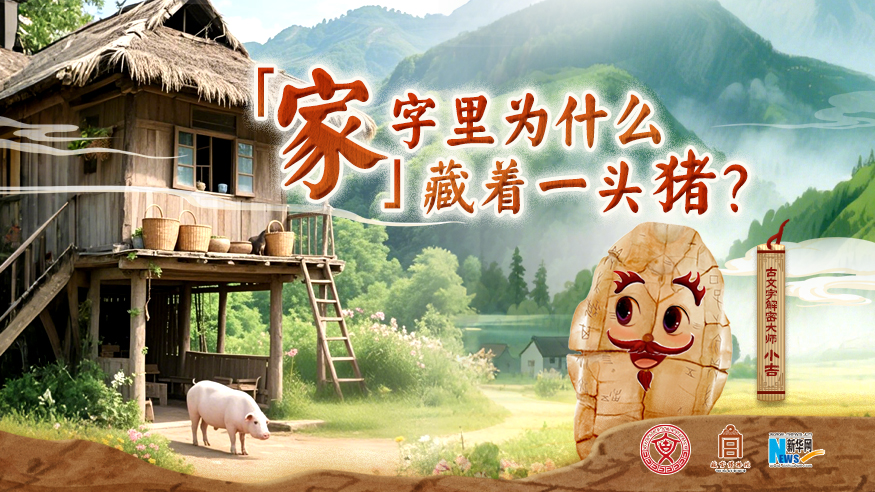 字古以來(lái)丨“家”字里為什么藏著一頭豬？
