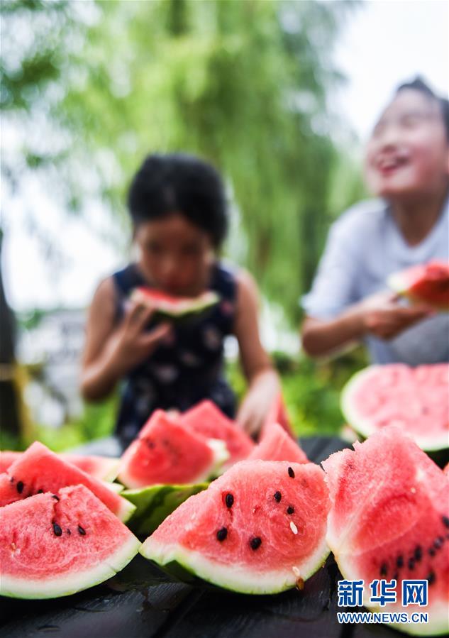 7月22日，廟兜村的孩子們在比賽吃西瓜。 當(dāng)日是大暑節(jié)氣，浙江省湖州市吳興區(qū)織里鎮(zhèn)廟兜村舉行了趣味“賽西瓜”比賽，迎接這個“火熱”的節(jié)氣。廟兜村種植有500多畝西瓜，目前正值西瓜豐收的時節(jié)，村民們用“賽西瓜”的形式，感受豐收的喜悅。 新華社記者 徐昱 攝