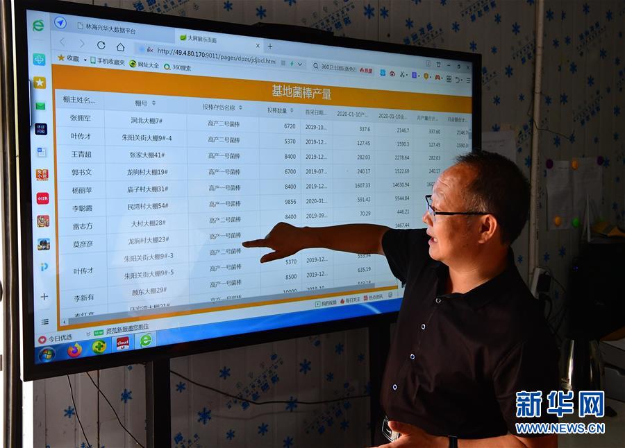 8月19日，在河南省三門峽市盧氏縣東明鎮(zhèn)澗北村食用菌產(chǎn)業(yè)園，負責人介紹菌棒產(chǎn)量情況。 河南伏牛山香菇產(chǎn)業(yè)集群是農業(yè)農村部和財政部批準建設的全國50個優(yōu)勢特色產(chǎn)業(yè)集群之一。作為這一集群的重點建設縣，河南省三門峽市盧氏縣建立了香菇生產(chǎn)的規(guī)范技術體系，實現(xiàn)了工業(yè)化、標準化生產(chǎn)。據(jù)統(tǒng)計，盧氏縣有近20家香菇及香菇制品出口企業(yè)，年出口香菇貨值超10億元。 新華社記者 馮大鵬 攝