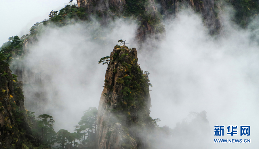 10月5日，安徽黃山風(fēng)景區(qū)雨后出現(xiàn)大面積云海景觀。