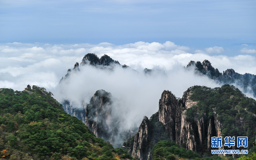 10月5日，安徽黃山風(fēng)景區(qū)雨后出現(xiàn)大面積云海景觀。