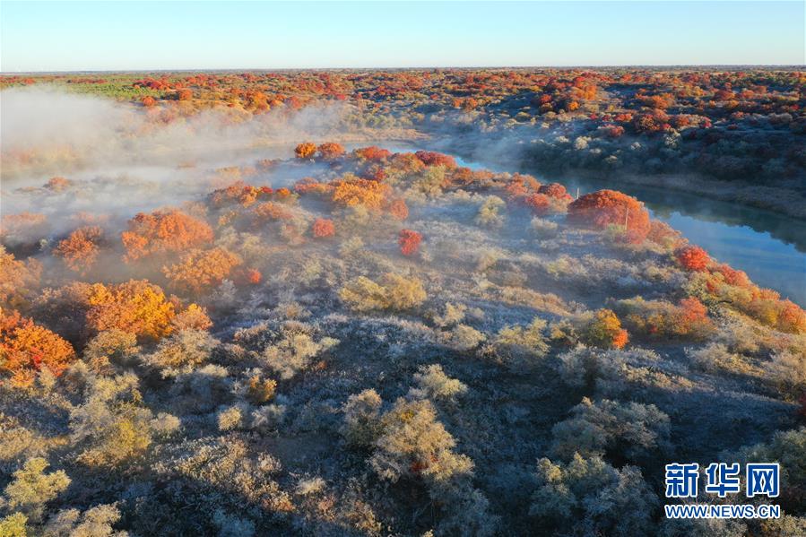 這是10月12日拍攝的大青溝國家級自然保護區(qū)秋景（無人機照片）。 眼下，位于內(nèi)蒙古自治區(qū)通遼市科爾沁左翼后旗的大青溝國家級自然保護區(qū)秋意正濃，斑斕多彩的秋景令人陶醉。 新華社記者 劉懿德 攝