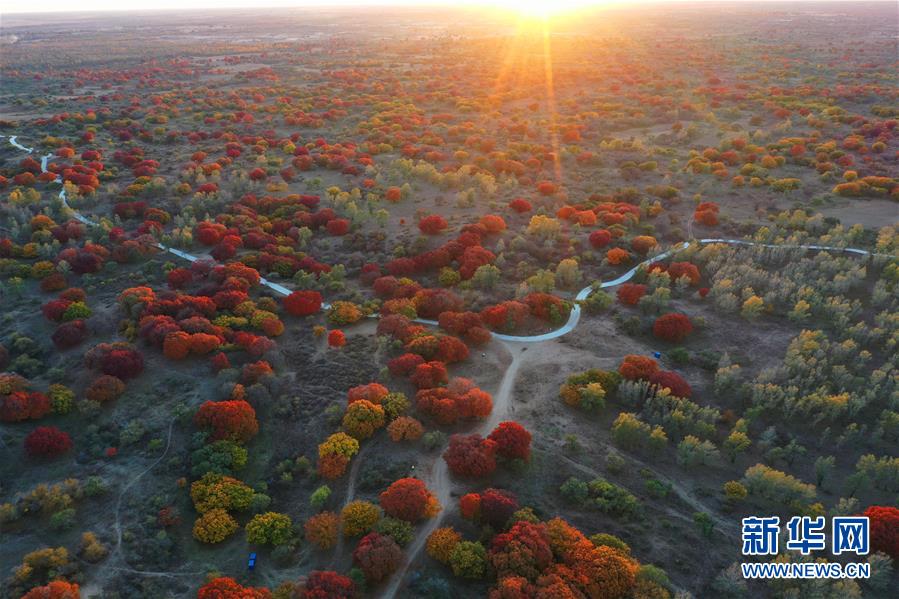 這是10月12日拍攝的大青溝國家級自然保護區(qū)秋景（無人機照片）。 眼下，位于內(nèi)蒙古自治區(qū)通遼市科爾沁左翼后旗的大青溝國家級自然保護區(qū)秋意正濃，斑斕多彩的秋景令人陶醉。 新華社記者 劉懿德 攝