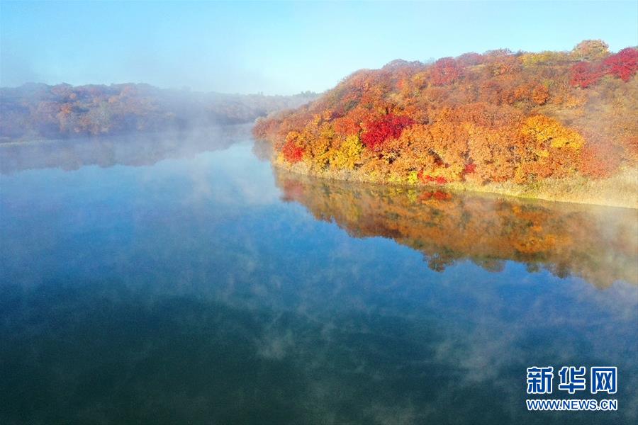 這是10月12日拍攝的大青溝國家級自然保護區(qū)小青湖秋景（無人機照片）。 眼下，位于內(nèi)蒙古自治區(qū)通遼市科爾沁左翼后旗的大青溝國家級自然保護區(qū)秋意正濃，斑斕多彩的秋景令人陶醉。 新華社記者 劉懿德 攝