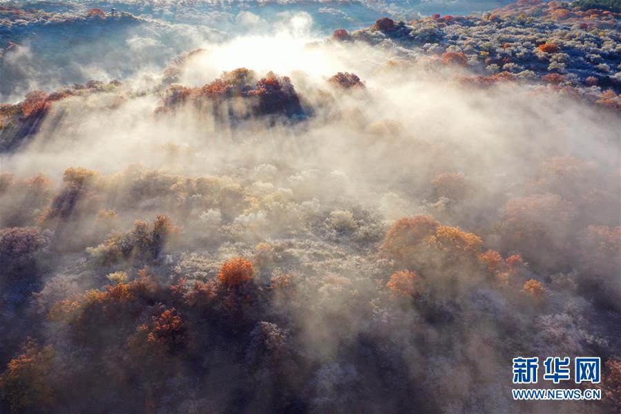 這是10月12日拍攝的大青溝國家級自然保護區(qū)秋景（無人機照片）。 眼下，位于內(nèi)蒙古自治區(qū)通遼市科爾沁左翼后旗的大青溝國家級自然保護區(qū)秋意正濃，斑斕多彩的秋景令人陶醉。 新華社記者 劉懿德 攝