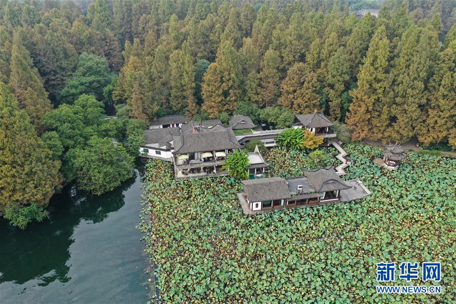 10月22日，西湖周邊的植被染上秋色（無人機(jī)照片）。 近日，隨著氣溫降低，杭州西湖初露秋色，顯出迷人風(fēng)韻。 新華社記者 翁忻旸 攝