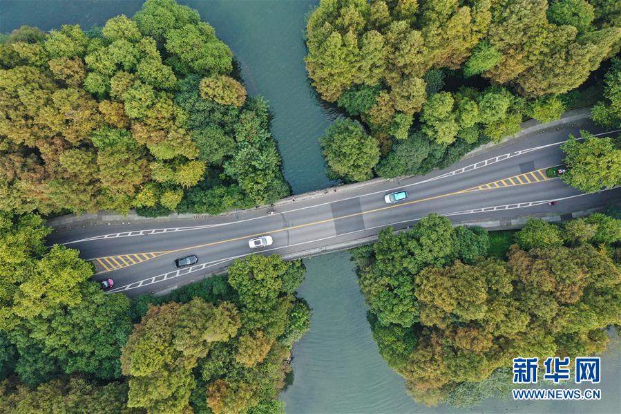 10月22日，機(jī)動(dòng)車在西湖楊公堤上行駛（無人機(jī)照片）。 近日，隨著氣溫降低，杭州西湖初露秋色，顯出迷人風(fēng)韻。 新華社記者 翁忻旸 攝