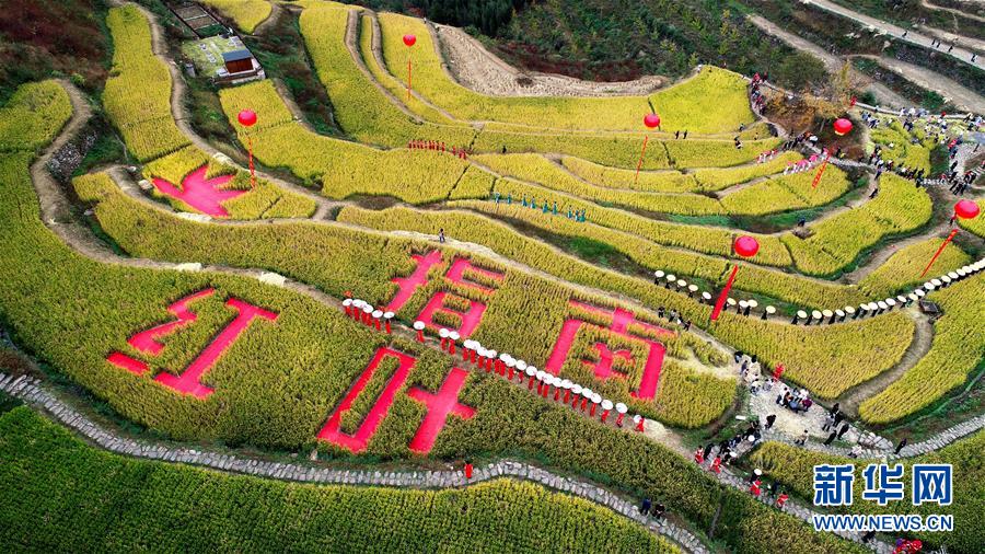 11月1日空中俯瞰指南村的金色稻田（無人機照片）。 11月1日，“指南紅葉節(jié)”活動在浙江省杭州市臨安區(qū)太湖源鎮(zhèn)指南村舉行。本次金秋紅葉節(jié)將舉行觀賞金秋紅葉梯田、梯田稻谷收割、古戲臺銀杏音樂會、山頂星空露營帳篷節(jié)等系列主題活動。 指南村海拔近600米，森林覆蓋率達93%以上。每到深秋，村落周邊的千畝梯田、金黃的銀杏和火紅的楓樹將指南村裝扮得美如畫卷。 新華社記者 徐昱 攝