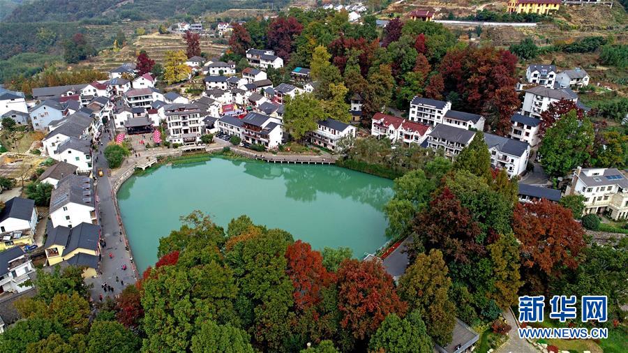 11月1日空中俯瞰指南村（無人機照片）。 11月1日，“指南紅葉節(jié)”活動在浙江省杭州市臨安區(qū)太湖源鎮(zhèn)指南村舉行。本次金秋紅葉節(jié)將舉行觀賞金秋紅葉梯田、梯田稻谷收割、古戲臺銀杏音樂會、山頂星空露營帳篷節(jié)等系列主題活動。 指南村海拔近600米，森林覆蓋率達93%以上。每到深秋，村落周邊的千畝梯田、金黃的銀杏和火紅的楓樹將指南村裝扮得美如畫卷。 新華社記者 徐昱 攝