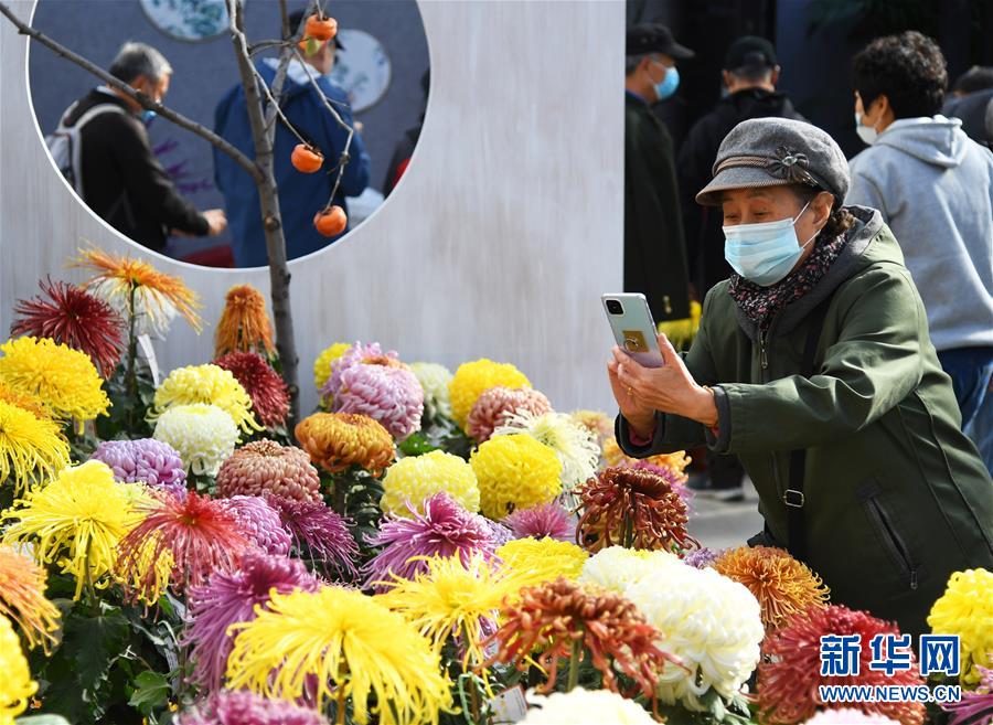 11月3日，游人在北京世界花卉大觀園菊花展上參觀拍攝。 近日，北京世界花卉大觀園菊花展開幕，共展出來自2020北京世界花卉大觀園第十一屆菊花擂臺賽的1500余盆菊花。 新華社記者 任超 攝