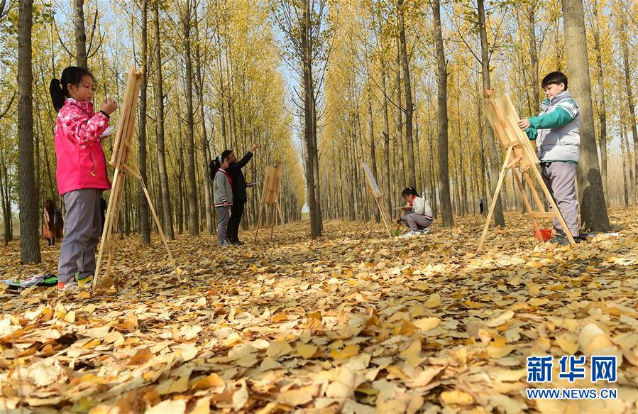 11月4日，滄州市實(shí)驗(yàn)小學(xué)學(xué)生在一處林地內(nèi)繪畫。 深秋時(shí)節(jié)，河北省滄州市實(shí)驗(yàn)小學(xué)美術(shù)興趣小組的學(xué)生在老師的帶領(lǐng)下走出教室，走進(jìn)大自然，以“多彩森林”為主題，用畫筆描繪斑斕秋色。 新華社發(fā)（傅新春 攝）
