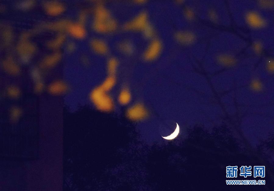 11月19日在北京西四附近拍攝的夜空。新華社記者 邢廣利 攝