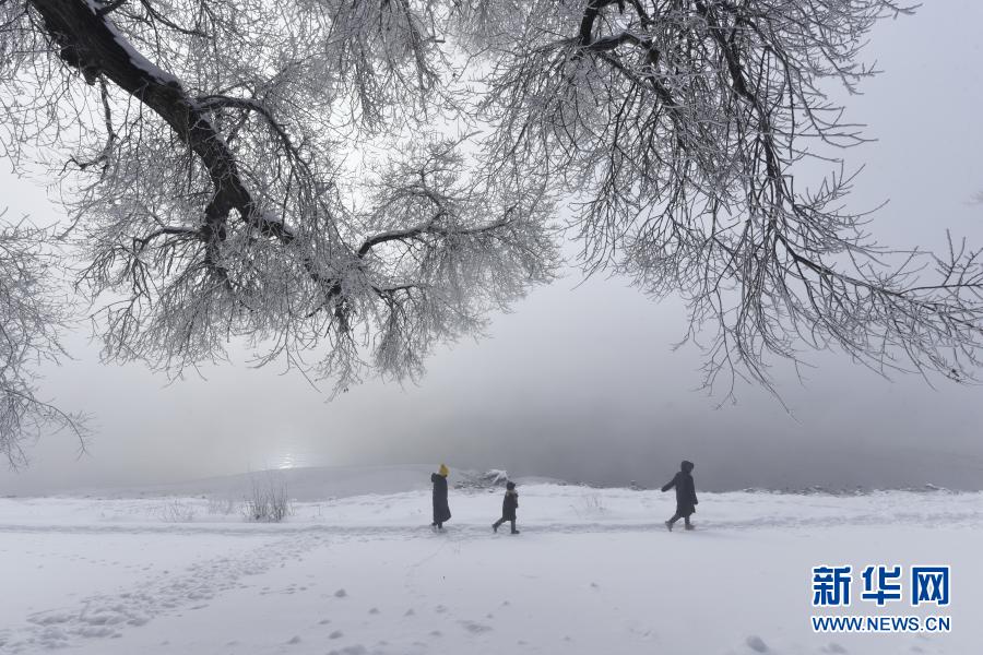 11月22日，在黑龍江省牡丹江市寧安市牡丹江畔，人們在欣賞霧凇美景。新華社發(fā)（張春祥 攝）