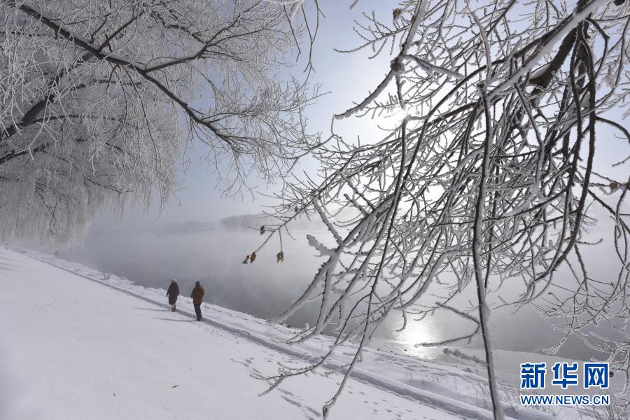 11月22日，在黑龍江省牡丹江市寧安市牡丹江畔，人們在欣賞霧凇美景。新華社發(fā)（張春祥 攝）