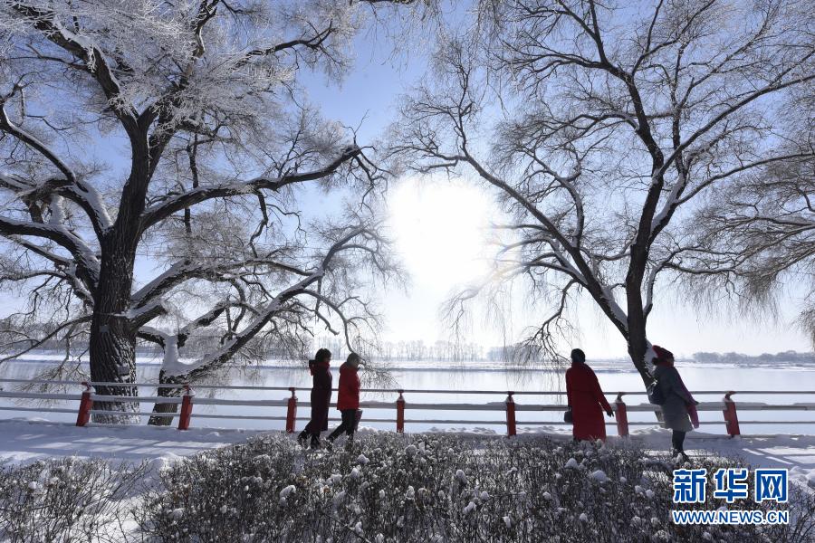 11月22日，在黑龍江省牡丹江市寧安市牡丹江畔，人們在欣賞霧凇美景。新華社發(fā)（張春祥 攝）