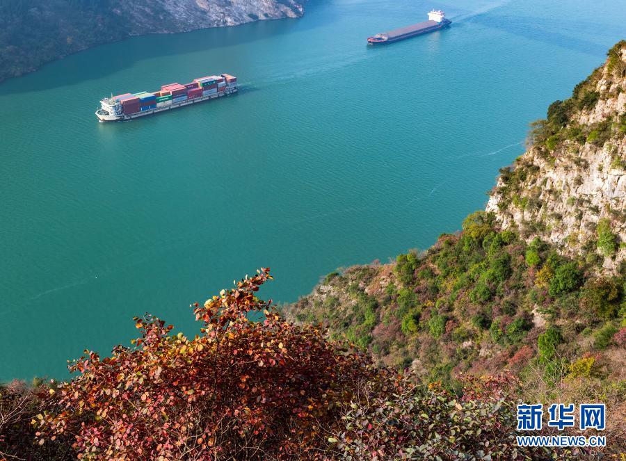 11月29日，船舶行駛在長江三峽湖北省秭歸縣兵書寶劍峽水域。冬日，三峽庫區(qū)山林五彩斑斕，景色迷人。新華社發(fā)（鄭家裕 攝）