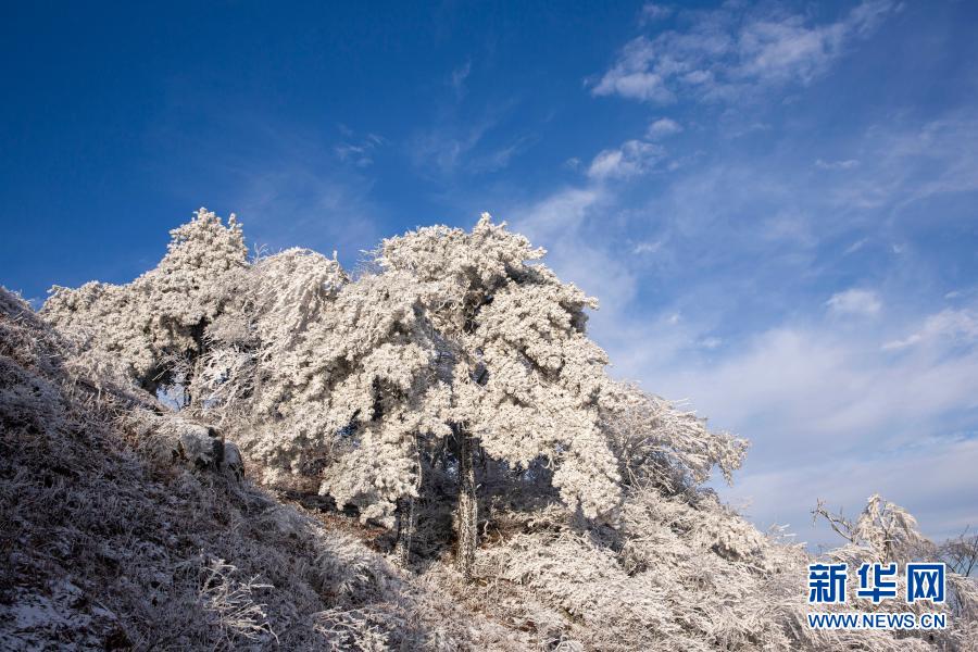 這是11月29日在霍山縣大化坪鎮(zhèn)拍攝的雪景。11月28日，地處大別山腹地的安徽省六安市霍山縣大化坪鎮(zhèn)迎來降雪。雪后的山林銀裝素裹，仿佛童話世界。新華社發(fā)（徐程 攝）