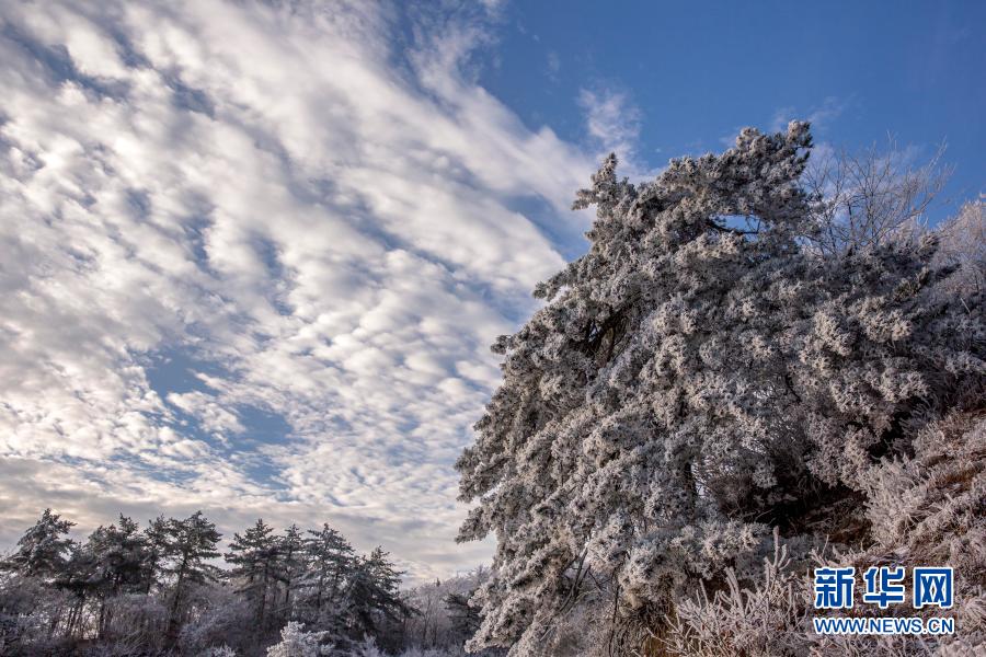 這是11月29日在霍山縣大化坪鎮(zhèn)拍攝的雪景。11月28日，地處大別山腹地的安徽省六安市霍山縣大化坪鎮(zhèn)迎來降雪。雪后的山林銀裝素裹，仿佛童話世界。新華社發(fā)（徐程 攝）