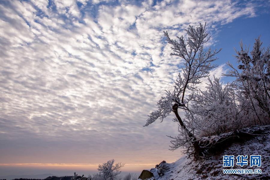 這是11月29日在霍山縣大化坪鎮(zhèn)拍攝的雪景。11月28日，地處大別山腹地的安徽省六安市霍山縣大化坪鎮(zhèn)迎來降雪。雪后的山林銀裝素裹，仿佛童話世界。新華社發(fā)（徐程 攝）