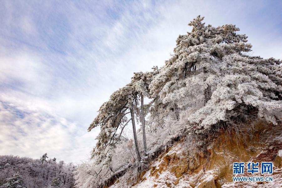 這是11月29日在霍山縣大化坪鎮(zhèn)拍攝的雪景。11月28日，地處大別山腹地的安徽省六安市霍山縣大化坪鎮(zhèn)迎來降雪。雪后的山林銀裝素裹，仿佛童話世界。新華社發(fā)（徐程 攝）