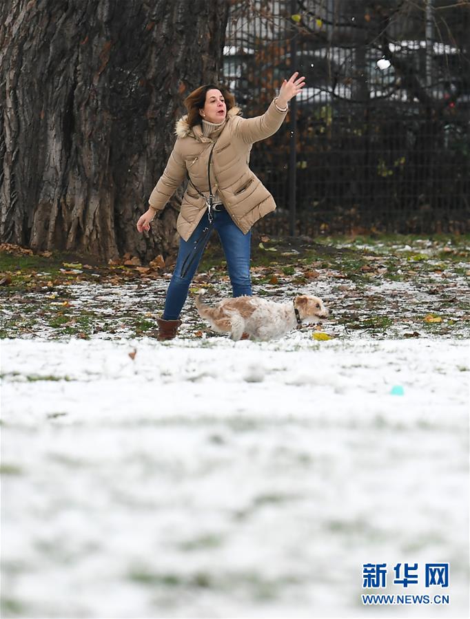 12月1日，一名女子在德國法蘭克福一處公園的雪地上與愛犬玩耍。 當日，德國法蘭克福市降下今冬初雪。 新華社記者 逯陽 攝