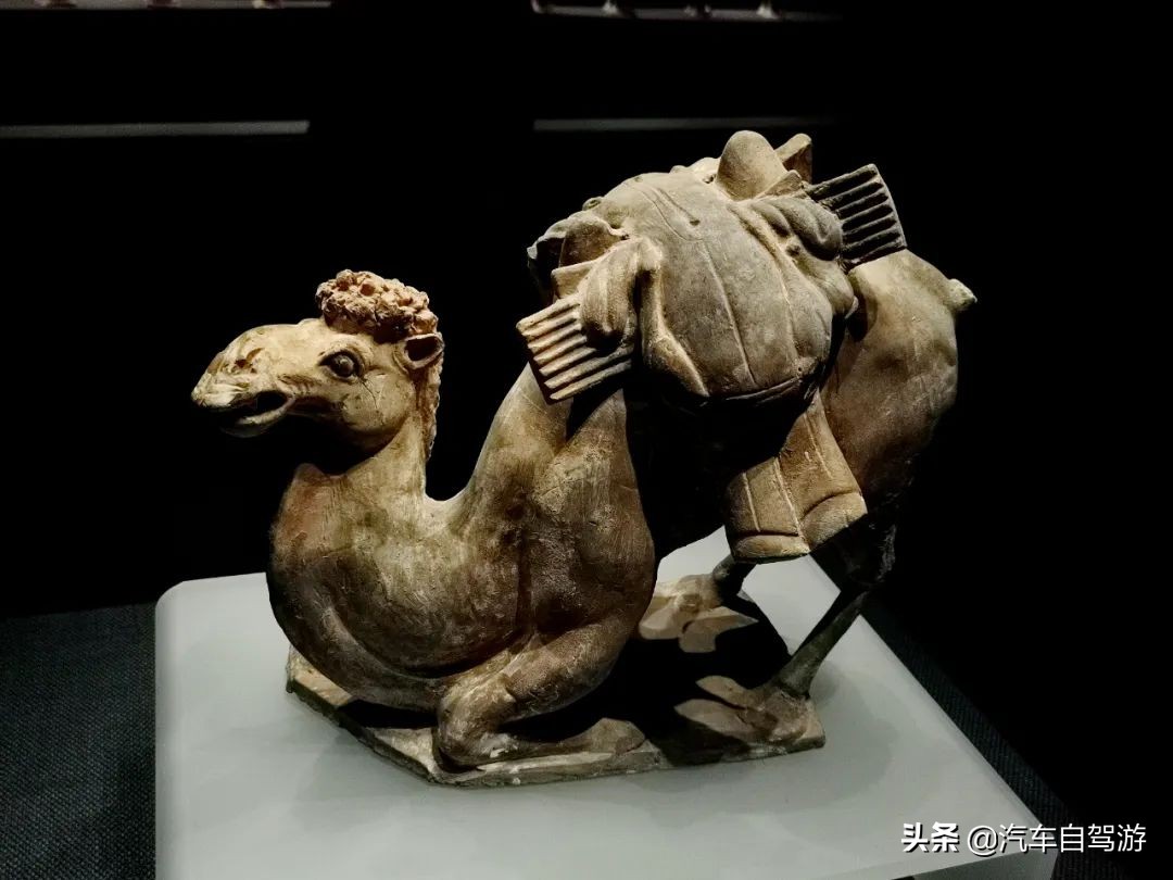河北邯鄲北朝考古博物館，收納王朝瞬間的璀璨