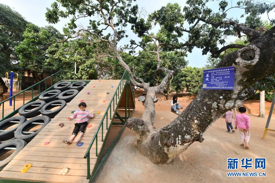 　　1月27日，在廣西欽州市浦北縣北通鎮(zhèn)清湖村九梅麓自然村，小朋友們?cè)谟脧U舊輪胎、鋼管打造的游樂設(shè)施上玩耍。　　近年來，廣西欽州市浦北縣在建設(shè)美麗村屯工作中，遵循“低成本、全覆蓋、可持續(xù)”工作思路，巧用廢舊磚瓦農(nóng)具等物件打造成景觀，扮靚村屯，帶動(dòng)鄉(xiāng)村旅游業(yè)發(fā)展?！　⌒氯A社記者 黃孝邦 攝