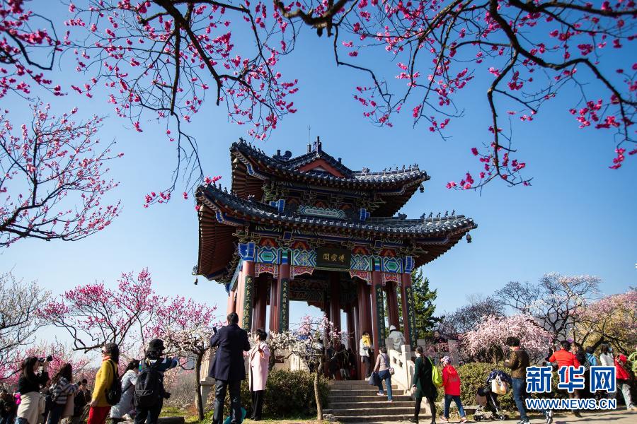 　　2月19日，游人在南京梅花山賞花?！　‘斎眨?021第26屆中國南京國際梅花節(jié)在南京梅花山正式開幕，本屆梅花節(jié)以“梅綻金陵 禮贊百年”為主題，結(jié)合即將在南京舉行的第三十屆中國戲劇梅花獎頒獎典禮，采用線上線下并舉的形式舉行“梅開盛世”“梅韻流聲”“梅香滿園”“梅露茶香”“梅語鹿鳴”五大主題活動?！　⌒氯A社發(fā)（蘇陽 攝）