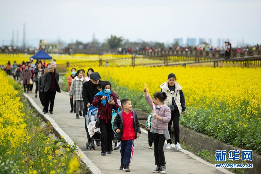 　　2月28日，游客在四川省廣漢市高坪鎮(zhèn)李堰村的花叢中漫步?！　〕醮旱拇ㄎ髌皆瘘S的油菜花、雪白的李花、粉紅的桃花等競(jìng)相綻放，構(gòu)成一幅美麗的鄉(xiāng)村畫卷，吸引不少游客前來踏青、賞花?！　⌒氯A社記者 江宏景 攝