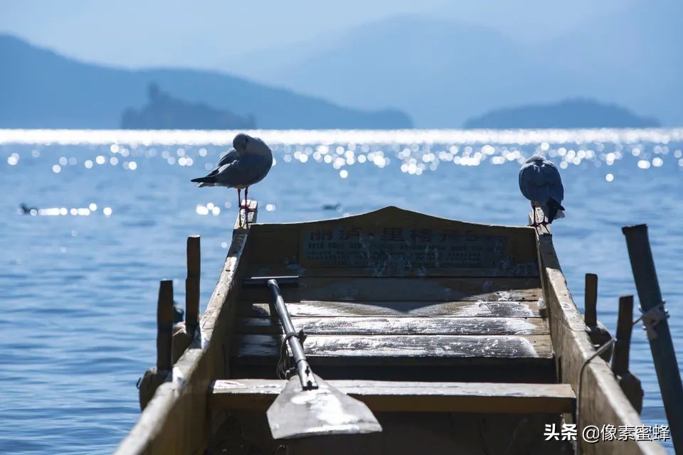 最美人間四月天，這7個小眾旅行告別人山人海，去這里看山看海