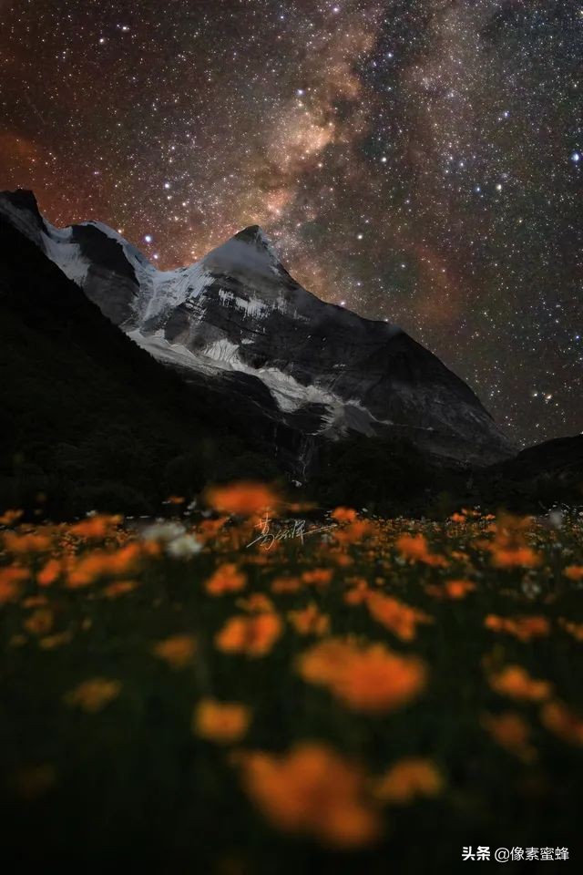 最美人間四月天，這7個小眾旅行告別人山人海，去這里看山看海