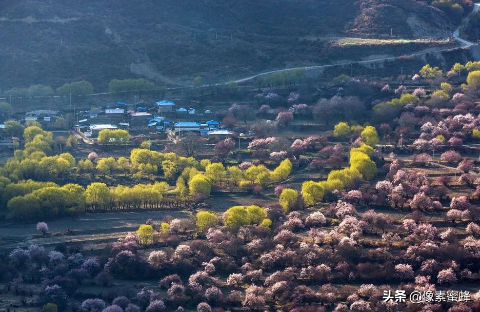 最美人間四月天，這7個小眾旅行告別人山人海，去這里看山看海
