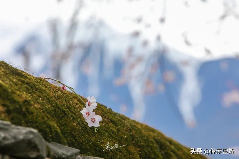 最美人間四月天，這7個小眾旅行告別人山人海，去這里看山看海