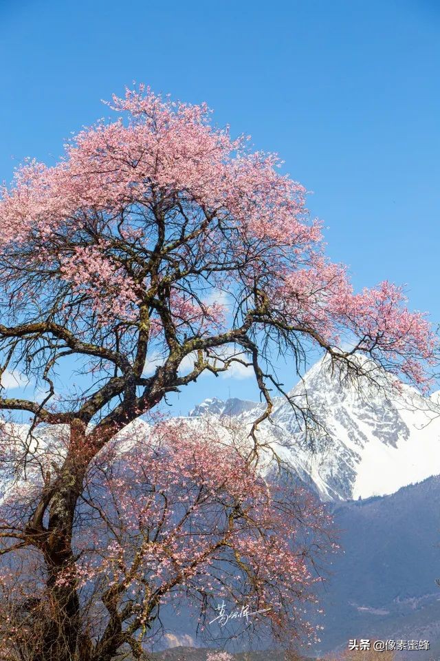 最美人間四月天，這7個小眾旅行告別人山人海，去這里看山看海