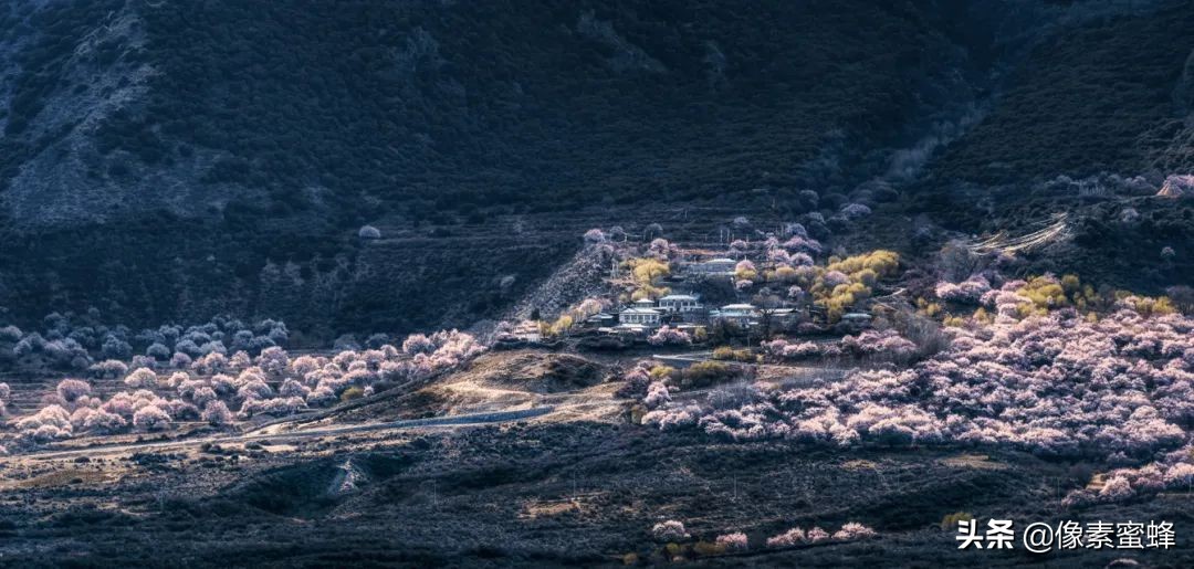 最美人間四月天，這7個小眾旅行告別人山人海，去這里看山看海