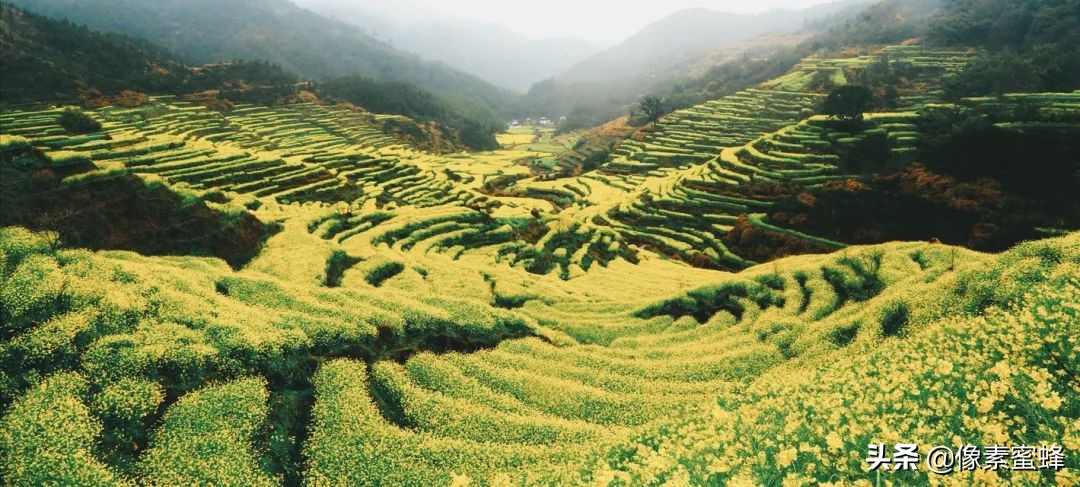 最美人間四月天，這7個小眾旅行告別人山人海，去這里看山看海